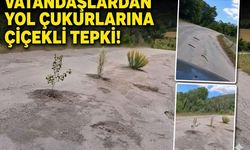 Vatandaşlar Yol Çukurlarına Çiçek Dikti!