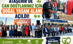 Ataşehir'de Can Dostlarımız İçin Doğal Yaşam Alanı Açıldı!