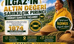 Ilgaz’ın Sarıkılçık Pirinci Coğrafi İşaret Aldı!