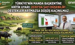 Türkiye'nin Manda Başkentine Kritik Uyarı: 2030 Yılında Büyük Tehlike!