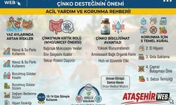 Yaz İshallerine Karşı Güçlü Bir Kalkan: Çinko Desteğinin Önemi