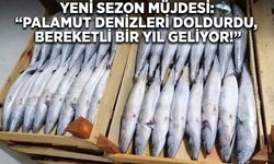 YENİ SEZON MÜJDESİ: "PALAMUT DENİZLERİ DOLDURDU, BEREKETLİ BİR YIL GELİYOR!"