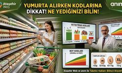 Aldığınız Yumurta Aslında Ne Kadar Sağlıklı?