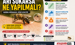 ARI SOKARSA NE YAPILMALI