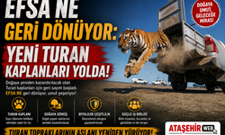 EFSA NE GERİ DÖNÜYOR: YENİ TURAN KAPLANLARI YOLDA