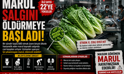 MARUL SALGINI  ÖLDÜRMEYE BAŞLADI