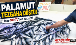 Palamut Tezgâha Düştü!
