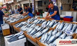 Av Yasakları Sona Erdi: Balıkçı Tezgâhları Palamutla Şenlendi!
