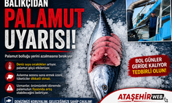 Balıkçı esnafından vatandaşlara 'palamut' uyarısı: Şimdilik derin dondurucuya koymayın!