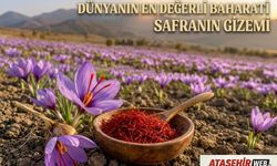 Dünyanın En Değerli Baharatı Safranın Gizemi