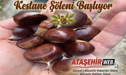Kestane Şöleni Başlıyor