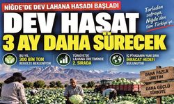 Niğde’de 300 Bin Tonluk Dev Lahana Hasadı Başladı
