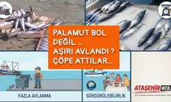 Palamut Neden "Çöp" Oluyor?