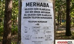 Sokak Lambasına İlan Astı: “Adayların Zeka Seviyesini Ölçecek”