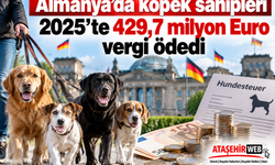 Almanya'da köpek sahipleri 2025’te 429,7 milyon Euro vergi ödedi