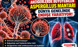 Akciğerlerde Büyüyebilen Aspergillus Mantarı Dünya Genelinde Endişe Yaratıyor!