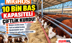 Migros 10 Bin Baş Kapasiteli Çiftlik Kurdu!