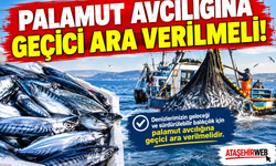 Palamut Avcılığına Geçici Ara Verilmeli!