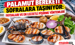 Palamut Bereketi Sofralara Taşınıyor: Faydaları ve En Lezzetli Pişirme Yöntemleri