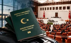 Pilot, Mühendis ve Mimarlara Yeşil Pasaport Talebi TBMM Gündeminde
