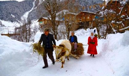 Artvin Kış Manzaraları 2016
