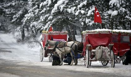 Bolu Kış Manzaraları 2015