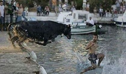 Dünyadan İlginç Resimler