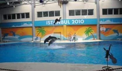 YAZ SPOR OKULU ÖĞRENCİLERİ DOLPHİNARİUM’DAYDI  