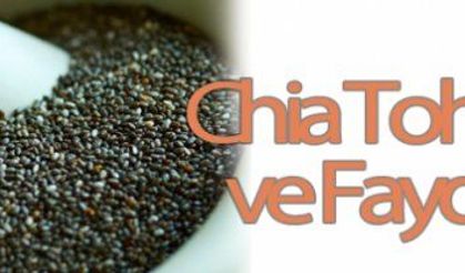 Chia Tohumu Nasıl Tüketilir? Faydaları Nelerdir?