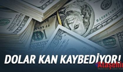 Dolar Kan Kaybediyor