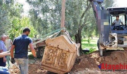 İznik'te Zeytin bahçesinden lahit fışkırıyor