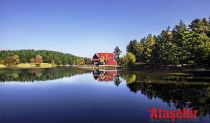 Tatilden güzel hediye mi olur!