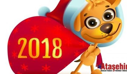 Köpek yılına hazır mısınız?