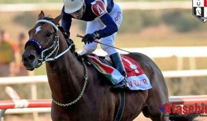 82. Gazi Şampiyonu Pan River hayatını kaybetti