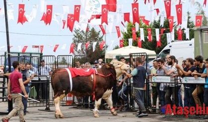Kurbankent Güzeli ‘Dadaş’ Oldu