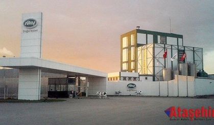 Rusya'dan Sütaş'a ihracat yasağı