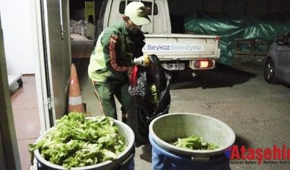 “Sıfır Atık” Pazarlara Açıldı