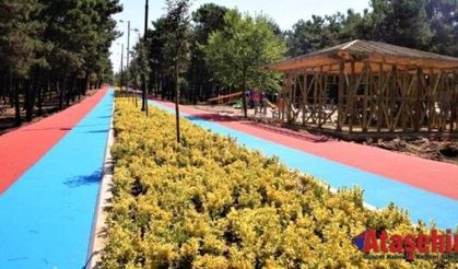 Ümraniye Mesire Alanı Yenilendi