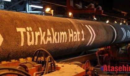 TürkAkım, Gazprom'u 46 milyar rublelik zarardan kurtardı