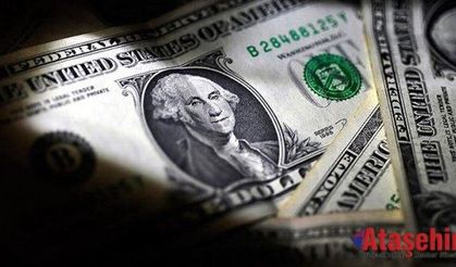 Çöp diye aldığı çantadan 1 milyon dolar çıktı