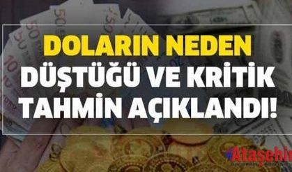 Dolar neden düşüyor, değer kaybı sürecek mi?