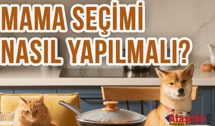 Evcil hayvanınız için doğru mamayı nasıl seçersiniz?