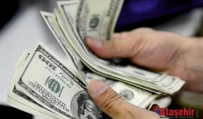 Dolar, TL’ye yeniliyor!