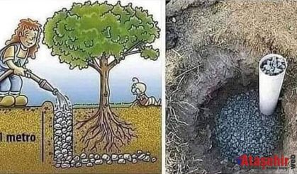 Peyzaj ve meyve bahçelerinde bu uygulamayı deneyin.