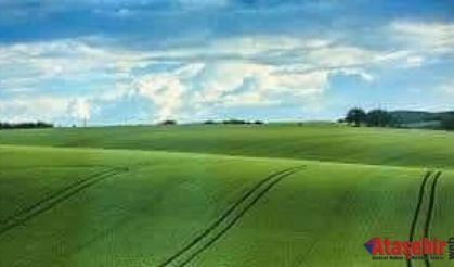 BUNLARI BİLMEDEN ARAZİ - TARLA - ARSA ALMAYIN