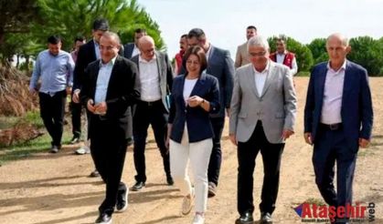 Maltepe Belediyesi, “can dostlar”ı için bakım evi kuruyor