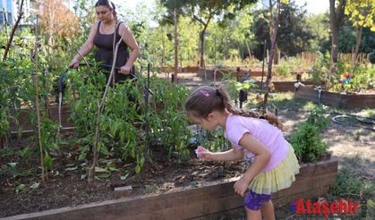 ATAŞEHİR BELEDİYESİ’NİN KENT BOSTANLARI İÇİN YENİ DÖNEM BAŞVURULARI BAŞLIYOR
