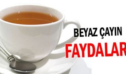 Beyaz çayın faydaları