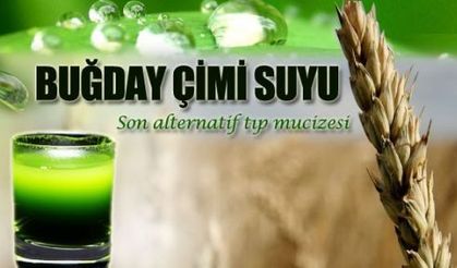 Buğday Çimi ve Faydaları