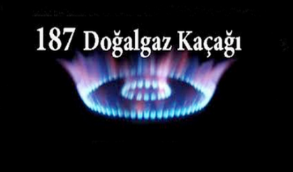 Gaz Kokusu mu Alıyorsunuz